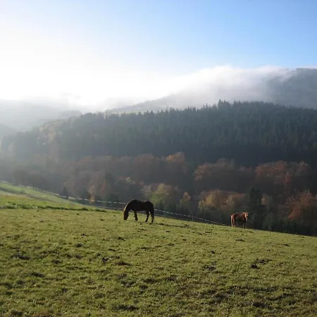Rhoenspass *